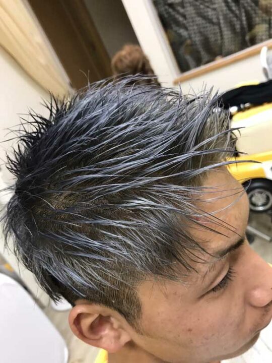 シルバーアッシュ